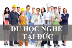 Du Học Nghề Đức Nên Chọn Những Ngành Nào